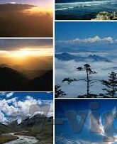 国外足球比分预测-揭秘国外足球比分预测的科学与艺术，如何成为精准预言家？