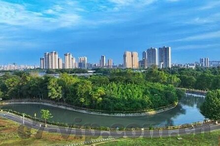 什么彩票足球比分-揭秘彩票足球比分，一场概率与激情的博弈