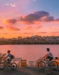 足球比分奥客-深度解析，足球比分背后的奥客密码——从数据迷雾中寻找胜利之光