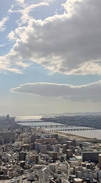 足球体育比分500-足球体育比分500，数据背后的激情与策略